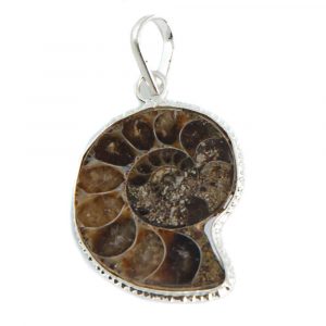 Pendentif Pierre Précieuse Ammonite - 20-25 mm