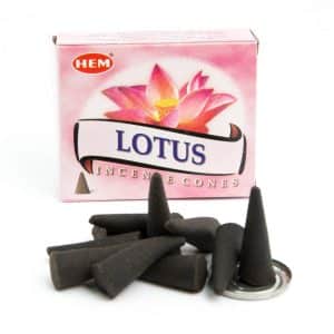 Cônes d'Encens HEM Lotus (1 boîte)