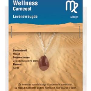 Pendentif Signe Astrologique Vierge en Cornaline avec Chaînette en Acier Inoxydable