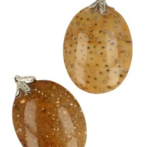 Pendentif en pierre précieuse de palmier fossile