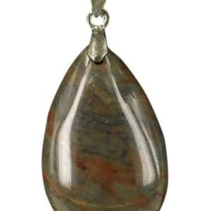 Bois Pétrifié Fossile Bois Goutte Pendentif Beau et Unique