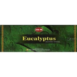 Eucalyptus Guérison Aura Protection Purification Négativité Expulsion Hexa 20 Bâtonnets